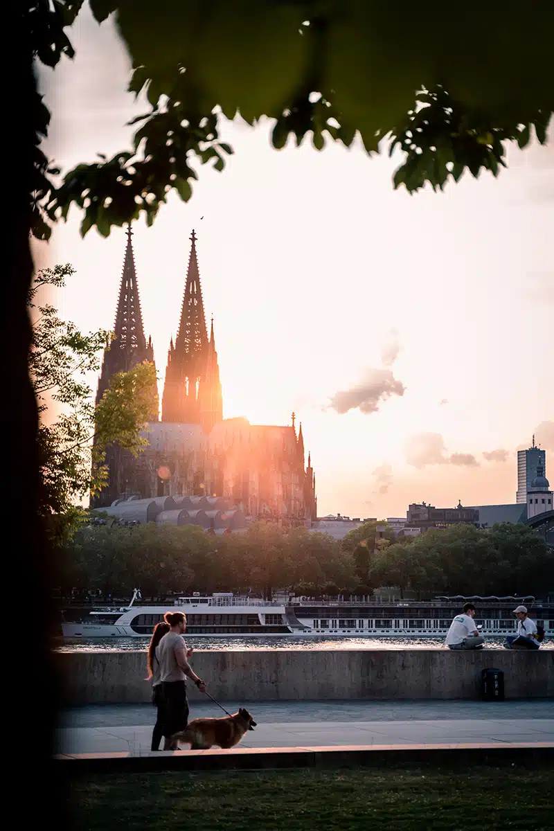 Blick auf den Kölner Dom im Sonnenuntergang.