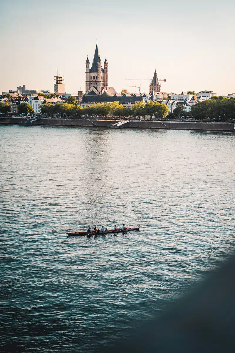 Ruderer auf dem Rhein vor Kölner Skyline.