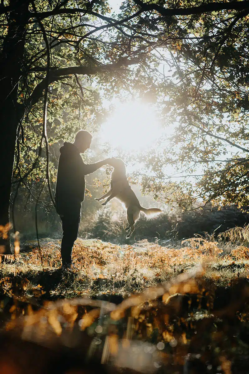 Hundefotografie in der Wahner Heide: ein Hund springt vor seinem Herrchen in die Luft.
