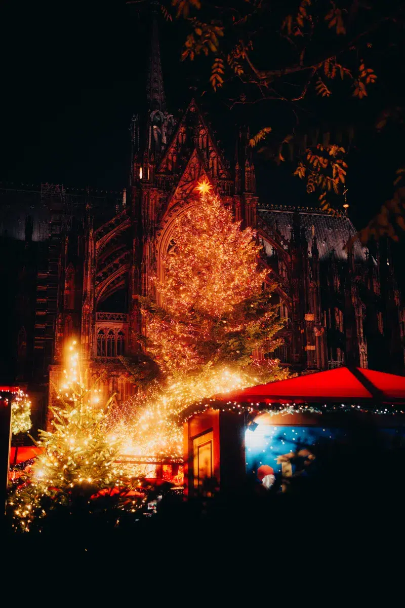 Ein beleuchteter großer Weihnchatsbaum leuchtet vor dem Kölner Dom auf dem Weihnachtsmarkt am Kölner Dom.